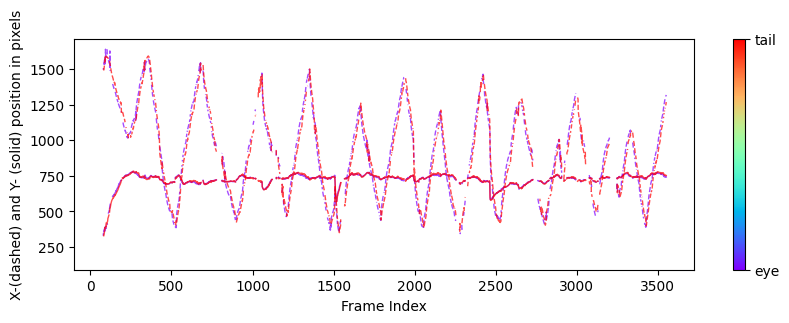 Zebrafish tracking and analysis